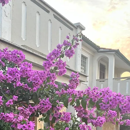 Apartments Kalsan Novalja Exterior photo